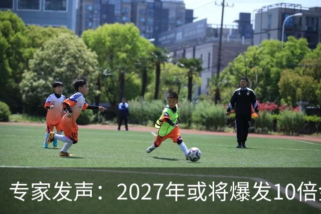 专家发声：2027年或将爆发10倍金融危机 人们抛资产是自救还是踩